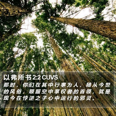 以 弗 所 书 2:2 CUVS Bible Verse Image