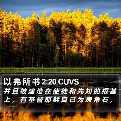 以 弗 所 书 2:20 CUVS Bible Verse Image