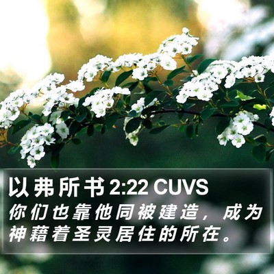 以 弗 所 书 2:22 CUVS Bible Verse Image