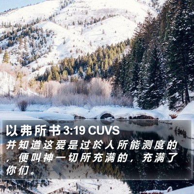 以 弗 所 书 3:19 CUVS Bible Verse Image