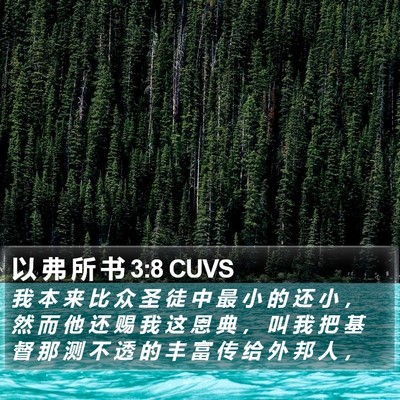 以 弗 所 书 3:8 CUVS Bible Verse Image
