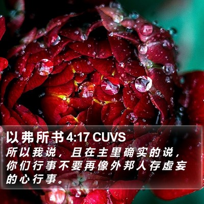 以 弗 所 书 4:17 CUVS Bible Verse Image