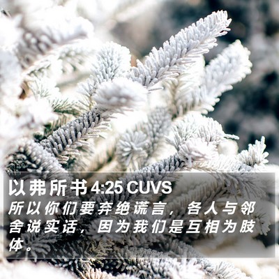 以 弗 所 书 4:25 CUVS Bible Verse Image