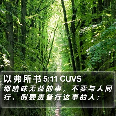 以 弗 所 书 5:11 CUVS Bible Verse Image