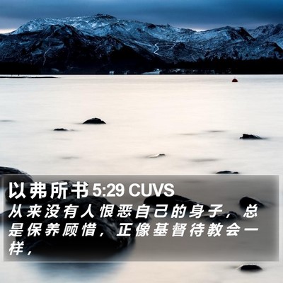 以 弗 所 书 5:29 CUVS Bible Verse Image
