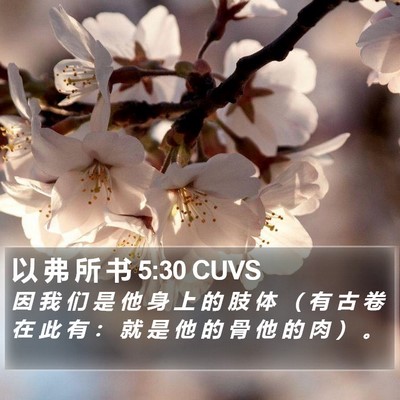 以 弗 所 书 5:30 CUVS Bible Verse Image