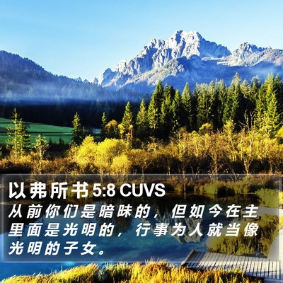 以 弗 所 书 5:8 CUVS Bible Verse Image