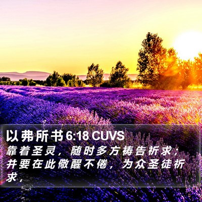 以 弗 所 书 6:18 CUVS Bible Verse Image