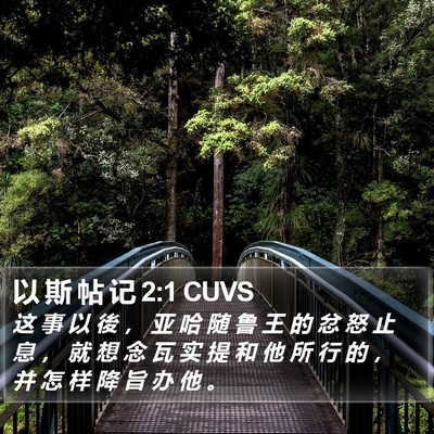 以 斯 帖 记 2:1 CUVS Bible Verse Image