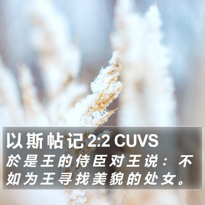 以 斯 帖 记 2:2 CUVS Bible Verse Image