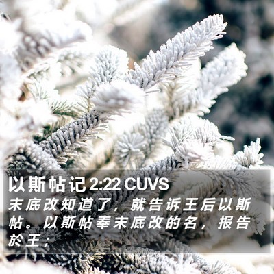 以 斯 帖 记 2:22 CUVS Bible Verse Image