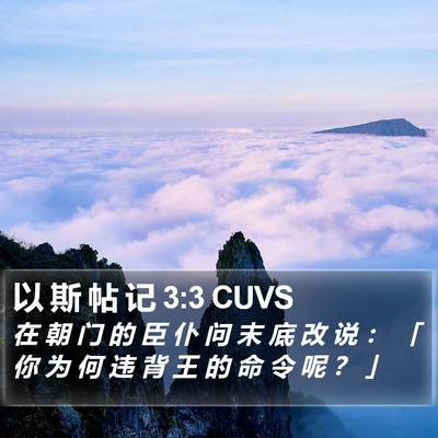 以 斯 帖 记 3:3 CUVS Bible Verse Image