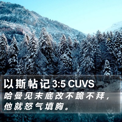 以 斯 帖 记 3:5 CUVS Bible Verse Image
