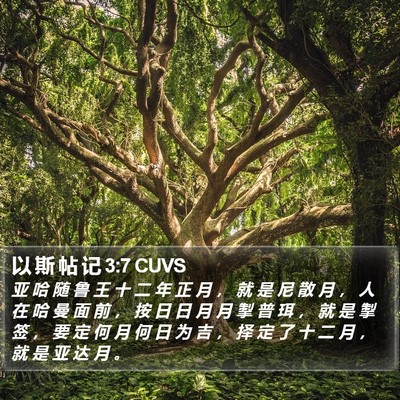 以 斯 帖 记 3:7 CUVS Bible Verse Image