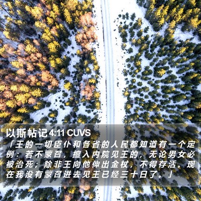 以 斯 帖 记 4:11 CUVS Bible Verse Image
