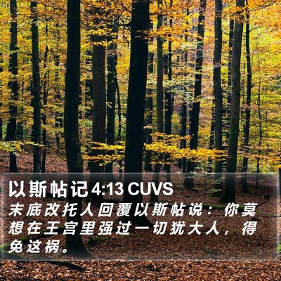 以 斯 帖 记 4:13 CUVS Bible Verse Image