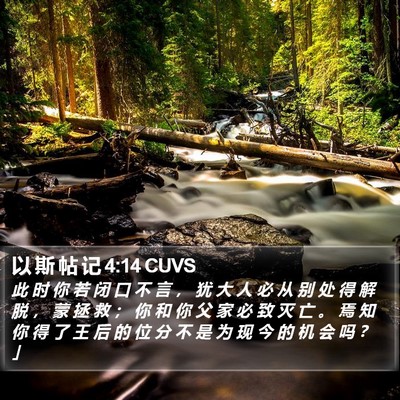 以 斯 帖 记 4:14 CUVS Bible Verse Image