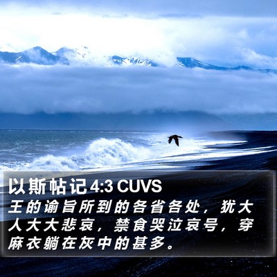 以 斯 帖 记 4:3 CUVS Bible Verse Image