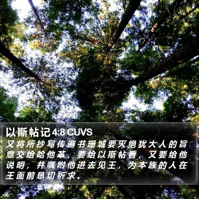 以 斯 帖 记 4:8 CUVS Bible Verse Image