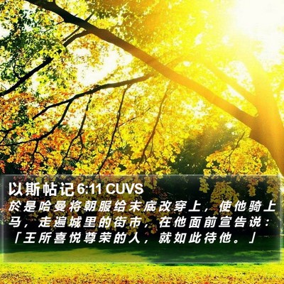 以 斯 帖 记 6:11 CUVS Bible Verse Image