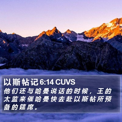 以 斯 帖 记 6:14 CUVS Bible Verse Image