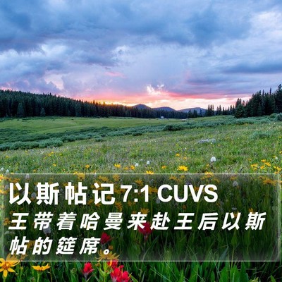 以 斯 帖 记 7:1 CUVS Bible Verse Image