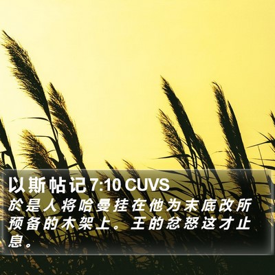 以 斯 帖 记 7:10 CUVS Bible Verse Image