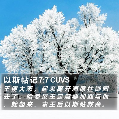 以 斯 帖 记 7:7 CUVS Bible Verse Image