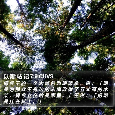 以 斯 帖 记 7:9 CUVS Bible Verse Image