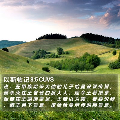 以 斯 帖 记 8:5 CUVS Bible Verse Image