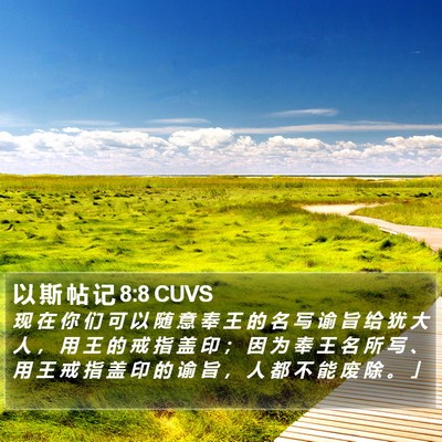 以 斯 帖 记 8:8 CUVS Bible Verse Image