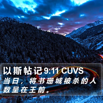 以 斯 帖 记 9:11 CUVS Bible Verse Image