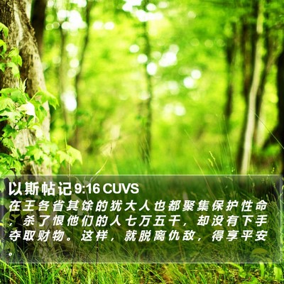 以 斯 帖 记 9:16 CUVS Bible Verse Image