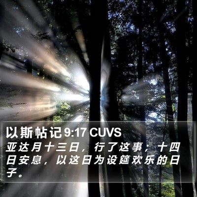 以 斯 帖 记 9:17 CUVS Bible Verse Image