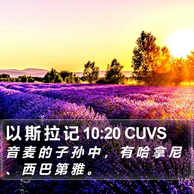 以 斯 拉 记 10:20 CUVS Bible Verse Image
