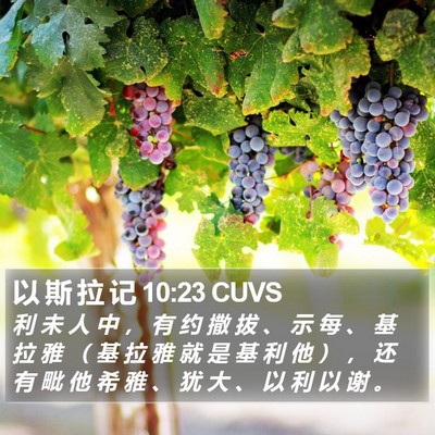 以 斯 拉 记 10:23 CUVS Bible Verse Image