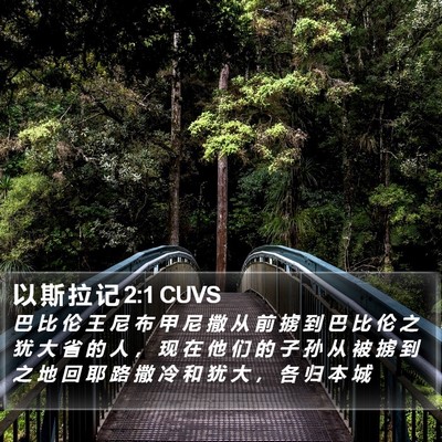 以 斯 拉 记 2:1 CUVS Bible Verse Image