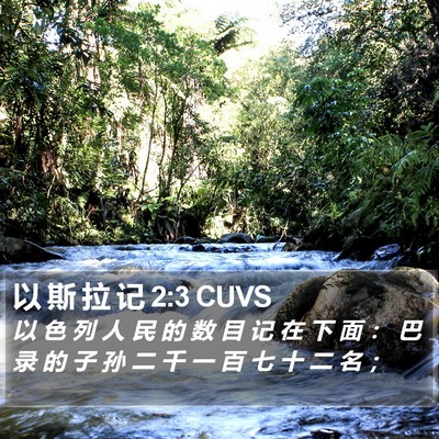 以 斯 拉 记 2:3 CUVS Bible Verse Image
