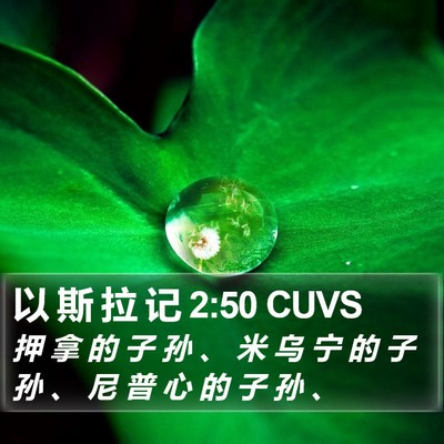 以 斯 拉 记 2:50 CUVS Bible Verse Image