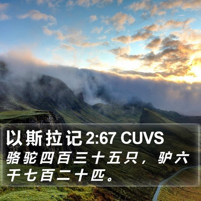 以 斯 拉 记 2:67 CUVS Bible Verse Image