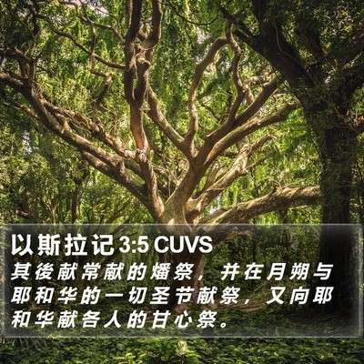 以 斯 拉 记 3:5 CUVS Bible Verse Image