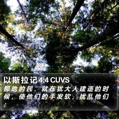 以 斯 拉 记 4:4 CUVS Bible Verse Image