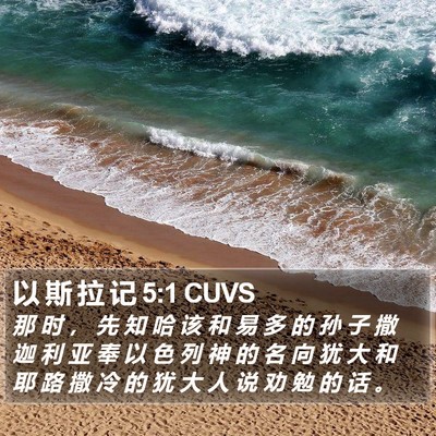 以 斯 拉 记 5:1 CUVS Bible Verse Image