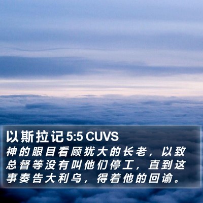 以 斯 拉 记 5:5 CUVS Bible Verse Image