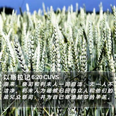 以 斯 拉 记 6:20 CUVS Bible Verse Image