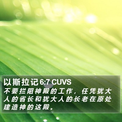 以 斯 拉 记 6:7 CUVS Bible Verse Image