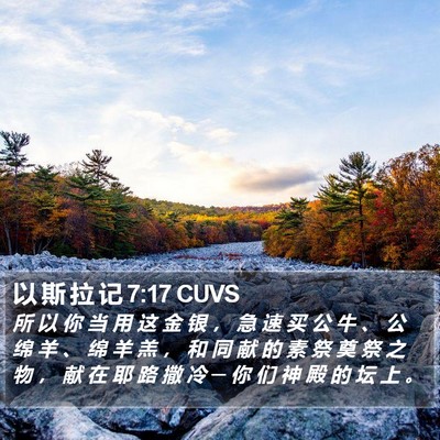 以 斯 拉 记 7:17 CUVS Bible Verse Image