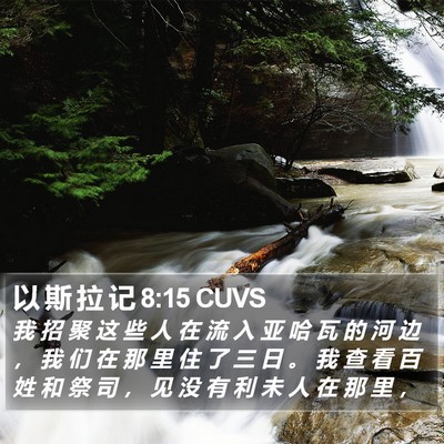 以 斯 拉 记 8:15 CUVS Bible Verse Image