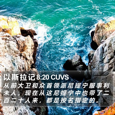以 斯 拉 记 8:20 CUVS Bible Verse Image