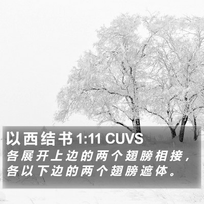 以 西 结 书 1:11 CUVS Bible Verse Image